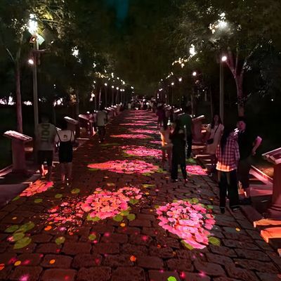 Guter Preis Outdoor Interaktive Projektion Erfahrung Boden Projektion Immersive Projektion Online