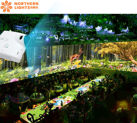 Guter Preis Nordlichter Holographischer Display Projektor Immersives Essen für die Hochzeit Online