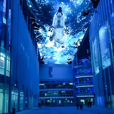 Guter Preis 10000 Lumen Nachthimmel Projektion Immersive Projektor für Business Street Online