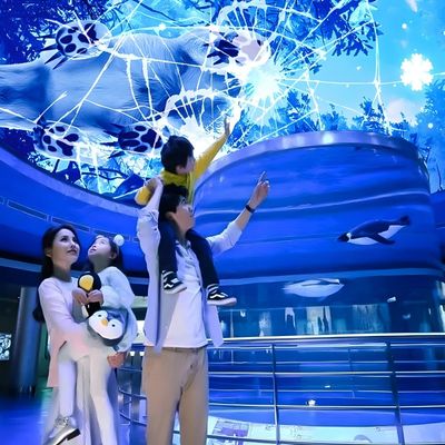 Guter Preis Anpassbares Magic Sky-Bildschirm, Hologramm-Bedeckung Projektion Interaktiver Projektor Online