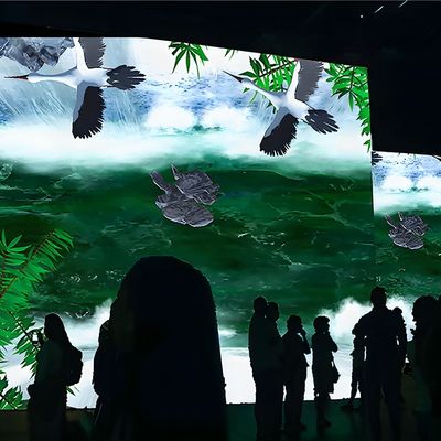 Guter Preis Nordlichter Neueste Werbung Interaktive Wand 3D Hologramm Projektion Online