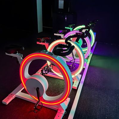 Guter Preis Nordlichter Rennrad-Simulator Spielmaschine Rennprojektion Online