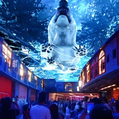 Guter Preis Nordlichter Holographische Projektion Sky Screen Immersive Projektor für Museen Online