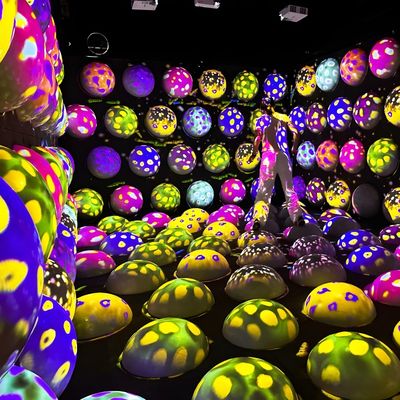 Guter Preis Indoor Interaktive Sprungkugel Fußboden Interaktive Projektionsspiel Cool Jump Space Online