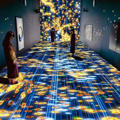 Guter Preis Immersives Holographisches Restaurant Immersives Holographisches Projektor Hochzeitssaal Projektion Online
