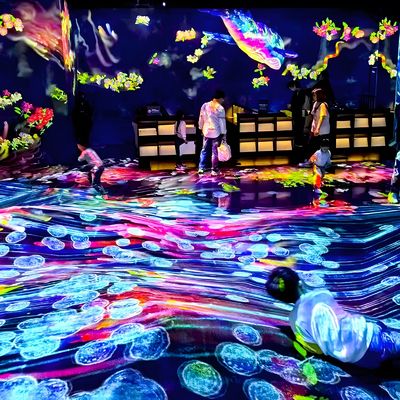 Guter Preis 3D-Holographische interaktive Wandprojektionssoftware Immersive Raum-Erfahrung Online