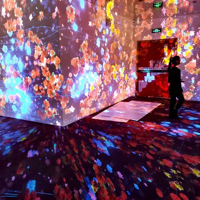 Guter Preis Yoga Studio Wandprojektion Bodenprojektion Interaktive virtuelle Realität Museum Show Online