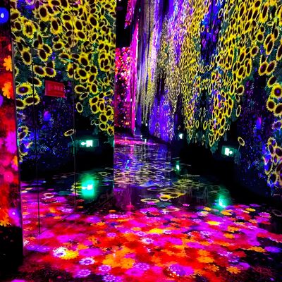 Guter Preis Interaktive Erfahrung mit bloßem Auge virtuelle 3D Indoor Immersive Ausstellung Online