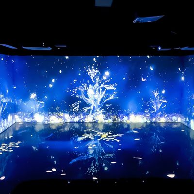 Guter Preis Raumdekorationen Digitale Kunstmuseum Ausstellung 3d Immersive Mapping Projektor Online