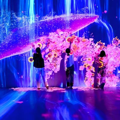 Guter Preis Hoteldekoration 3d Holographische interaktive Wandprojektion Software Projektor Online
