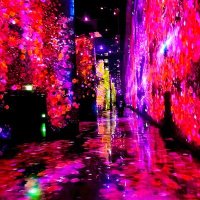 Guter Preis Moderne Luxus-Immersive Interaktive Wand / Boden Laser Projektion für die Ausstellung Online