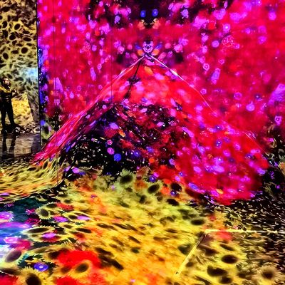 Guter Preis 3D-Innen-Immersive Projektion für Ktv Bar Club Immersive Projektionssystem Online
