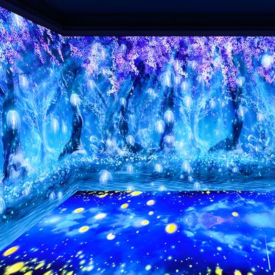 Guter Preis 3D-Projektor Immersive Erfahrung Grundwand Projektion für Museum Online