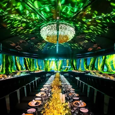 Guter Preis Einzigartige 3D-Immersive Esserfahrung Restaurant Wand Interaktive Projektion Online