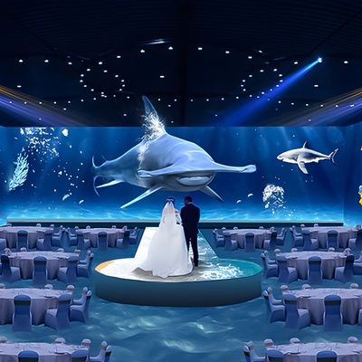 Guter Preis Gastronomische Erfahrung Restaurant Genuss Immersive Projektion 3D-Mapping Online