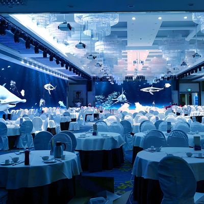 Guter Preis Ar Interaktives 3D-Holographisches Display Projektor Interagieren Kreatives Restaurant Online