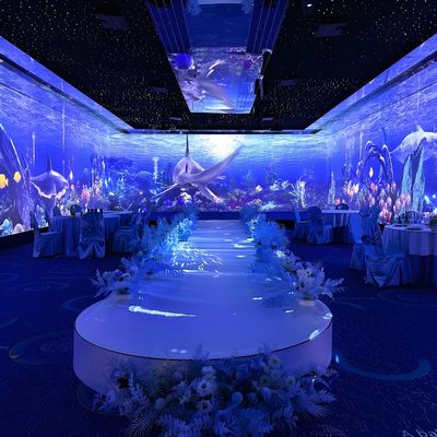 Guter Preis Nordlichter Holographischer Display Projektor Immersives Essen für die Hochzeit Online