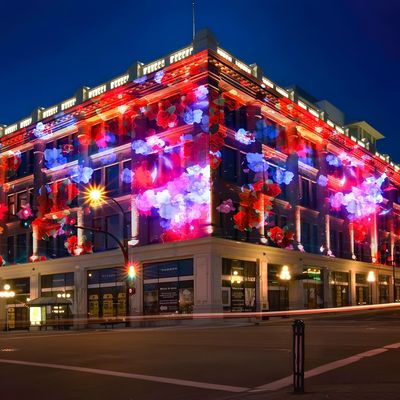 Guter Preis Außenlaser-Licht-Show-Maschine Animation-Show Laser-Lichter-Projektor Online