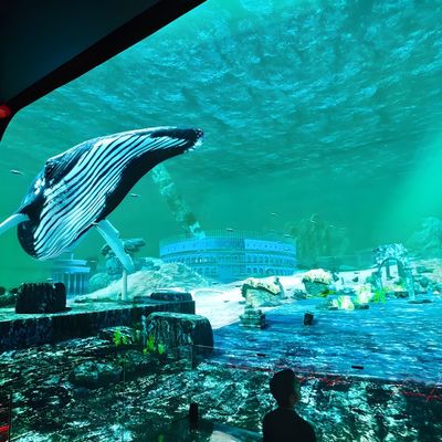 Guter Preis 3d Hd Immersive Viewing Led Display Bildschirm Hängendes Glas Hologramm Kino Online