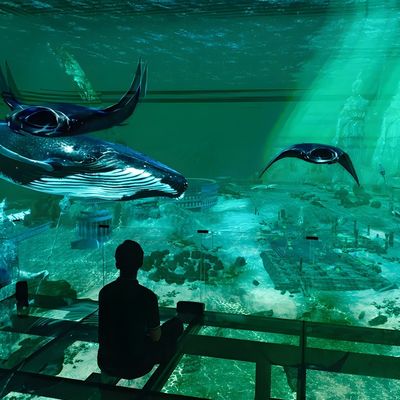 Guter Preis Fabrik-Anpassung Innenbereich Led 5 Faltschirm Immersive 3D Holographische Theater Anzeige Online